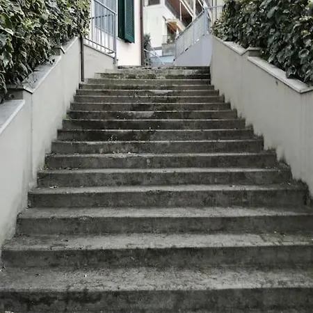 Il Giardino Di Ari *