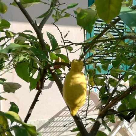 Il Giardino Di Ari Apartment