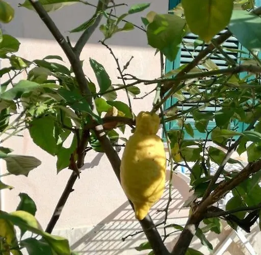 Il Giardino Di Ari 公寓